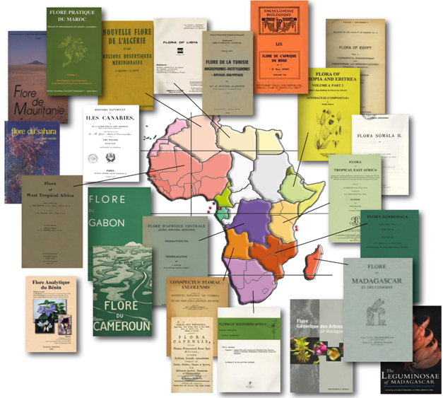African Floras